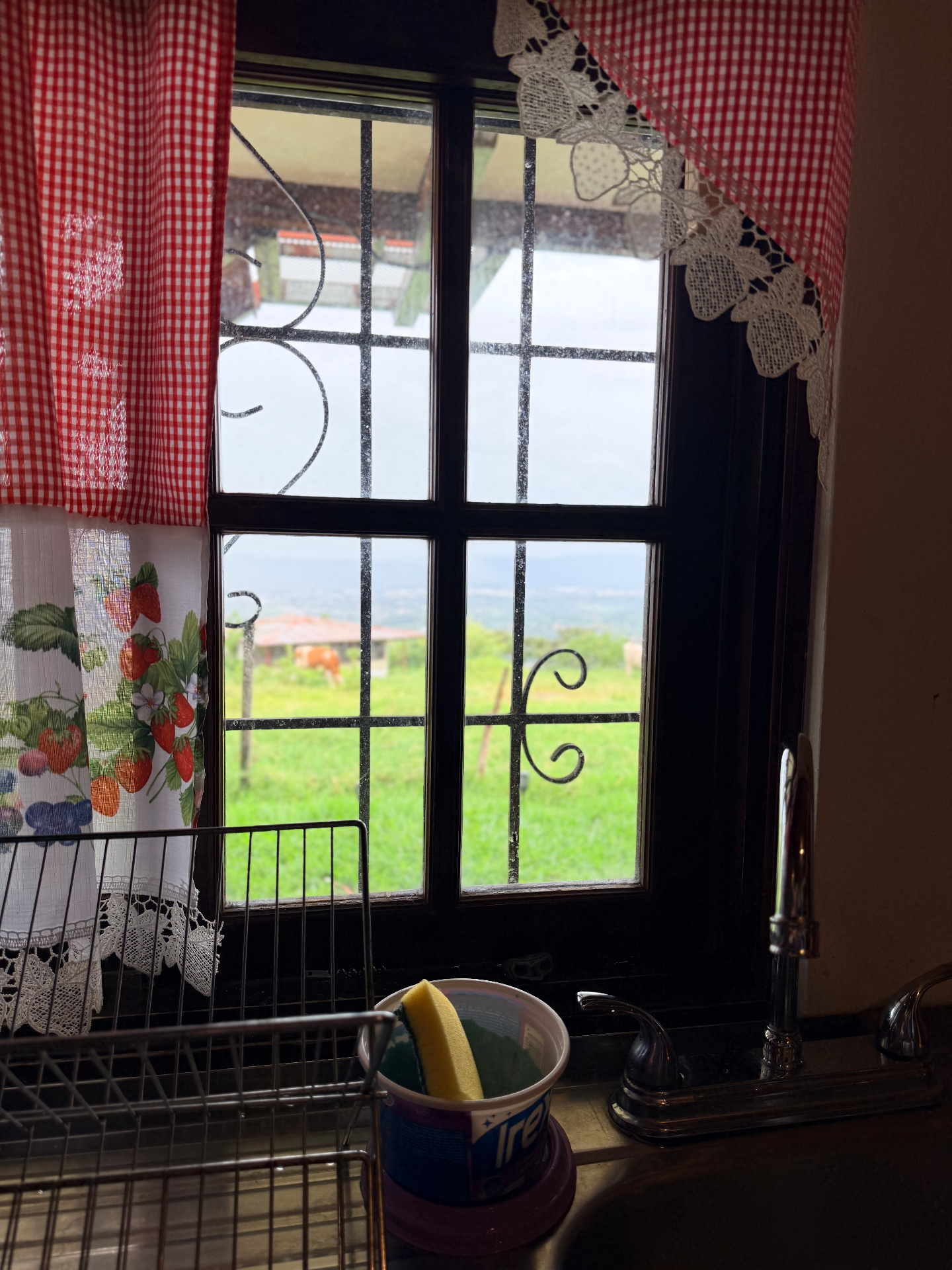 Kitchen window of the traditional home framing pasture, cattle and the valley beyond